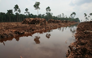 Deforestation Indonesia2