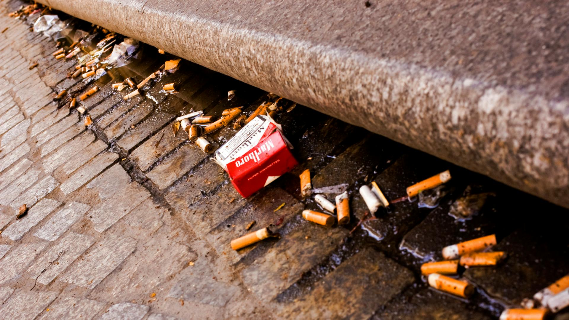 Cigarette butts litter