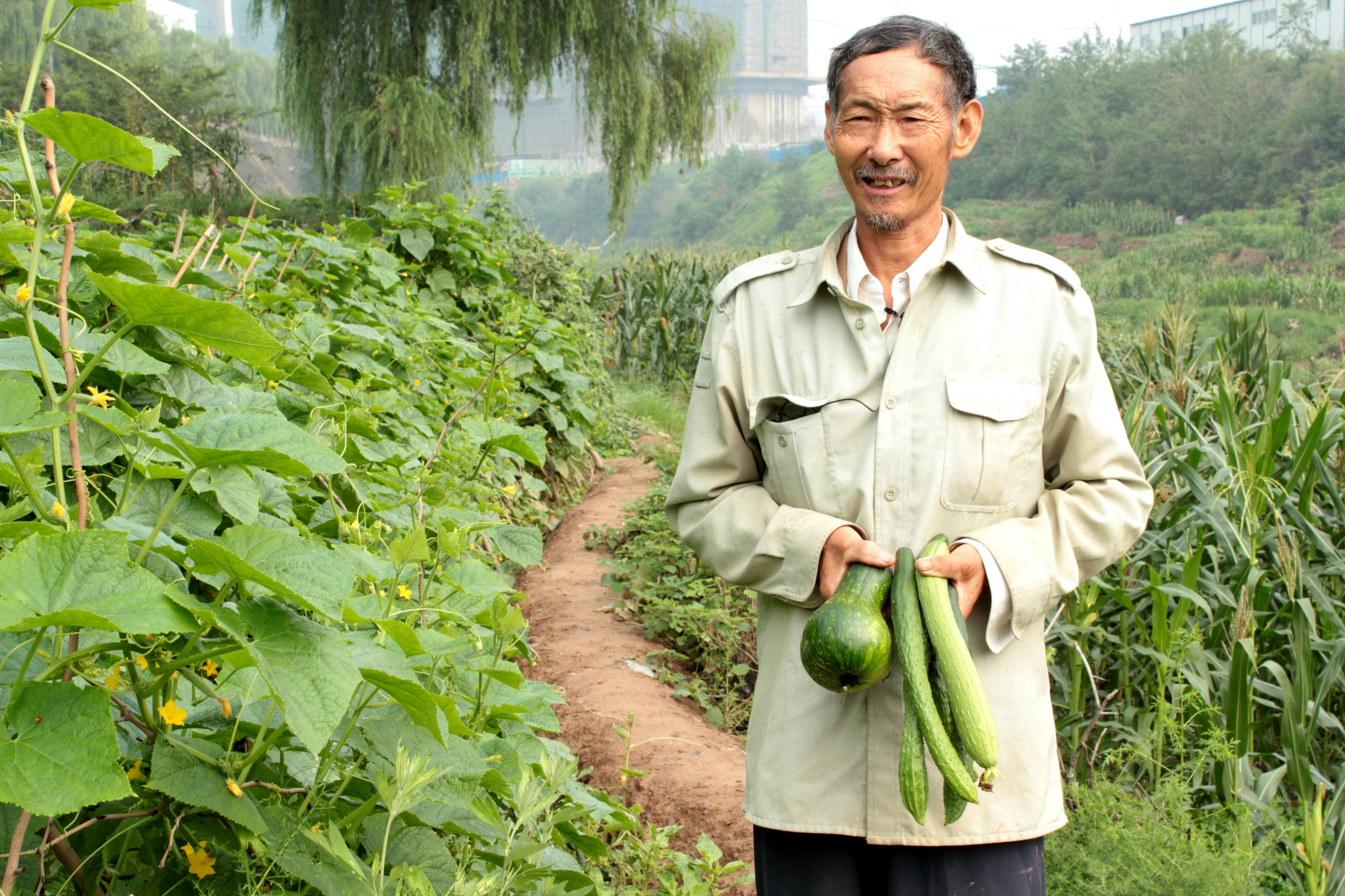 Climate_Change_Crops_China
