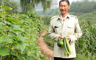 Climate_Change_Crops_China