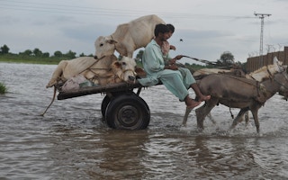 Flood_Sindh_India