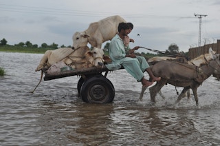Flood_Sindh_India