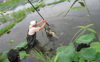 Aquaculture China