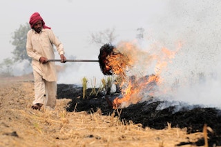 Farmer_Burning_Stubble_Punjab_India