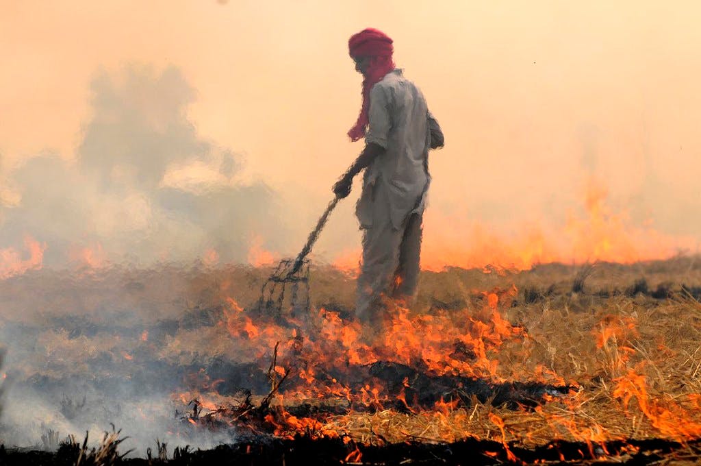 Divided by borders, Lahore and Delhi are united in smog | News