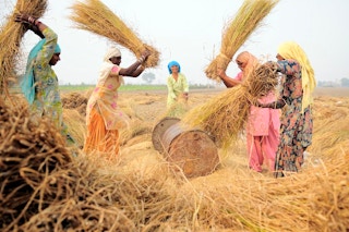 Women_Farmer_India
