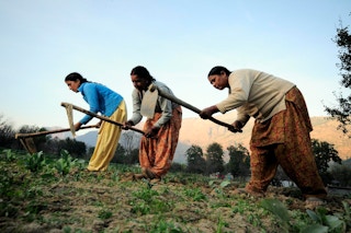 women farmers in Himachal Pradesh
