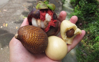 Snakefruit_Bali