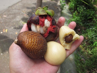Snakefruit_Bali
