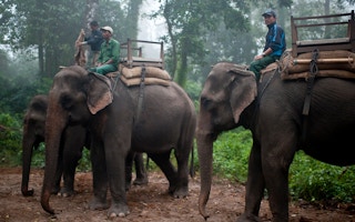 Elephant caretakers Nepal