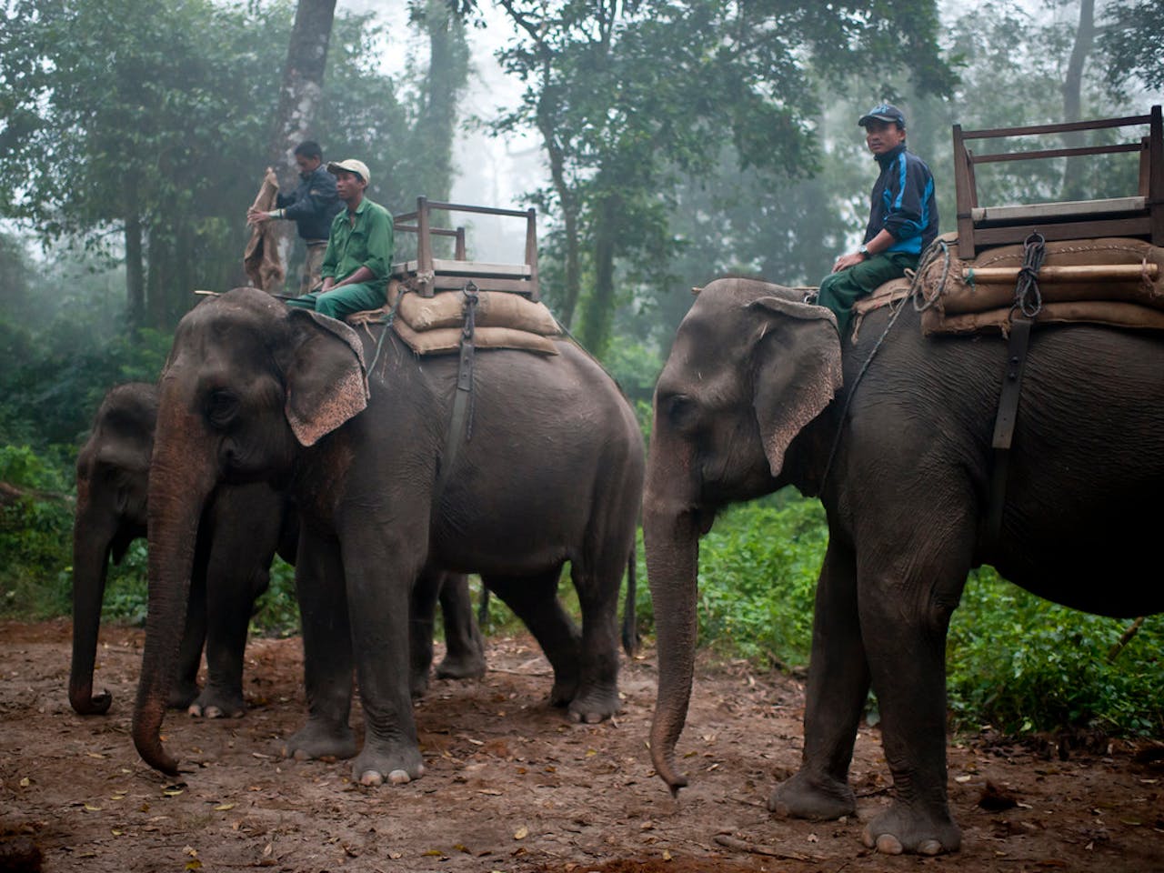 Elephant caretakers Nepal