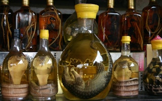 snakes and pangolins infused in wine