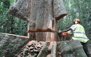 A man cuts timber with power saw.