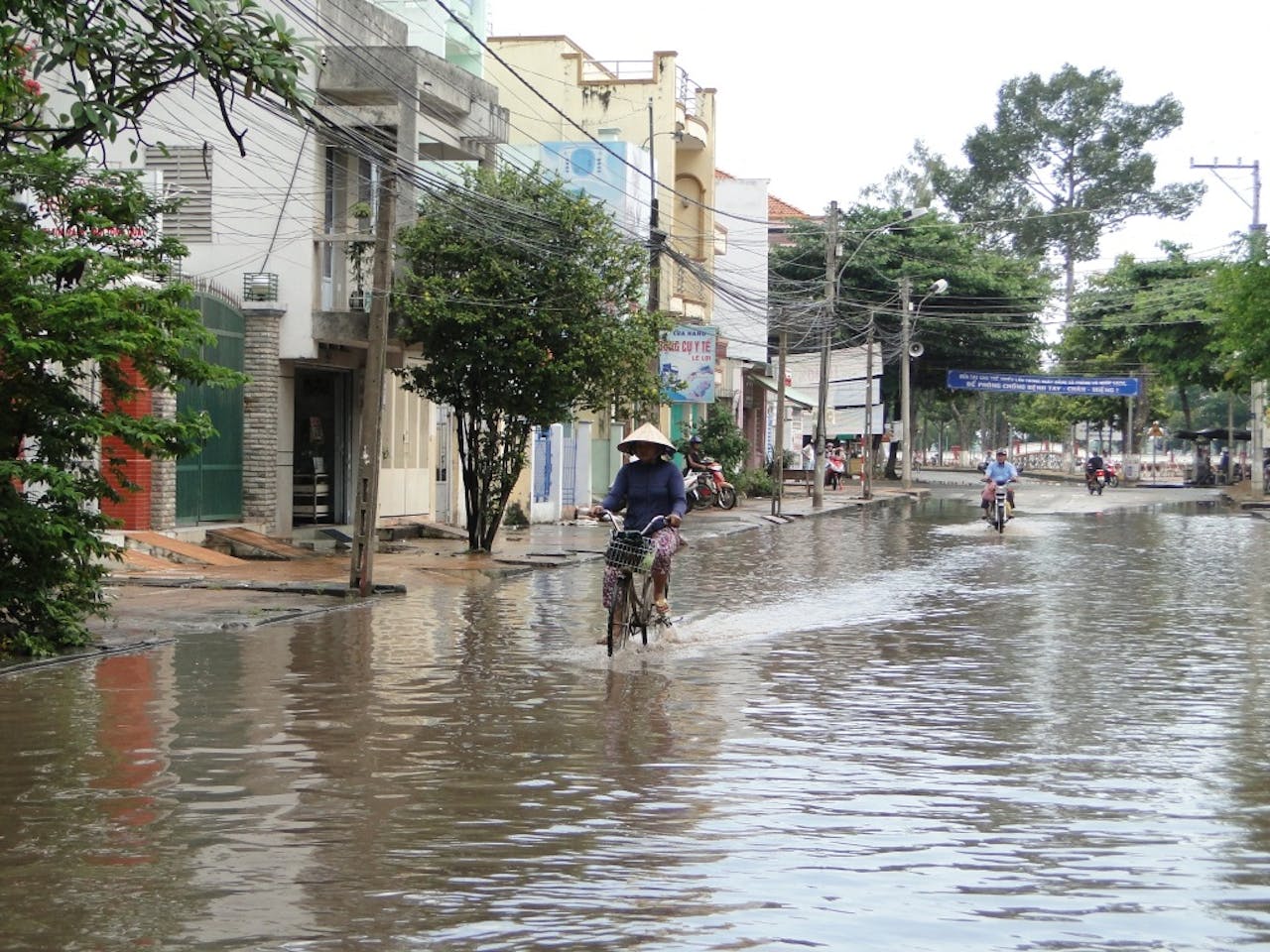 Subsidence reveals potential impacts of future sea level rise on inhabited  mangrove coasts