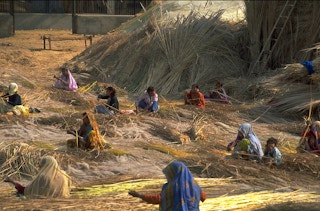 indian women farmers