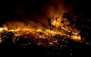 amazon rainforest fires