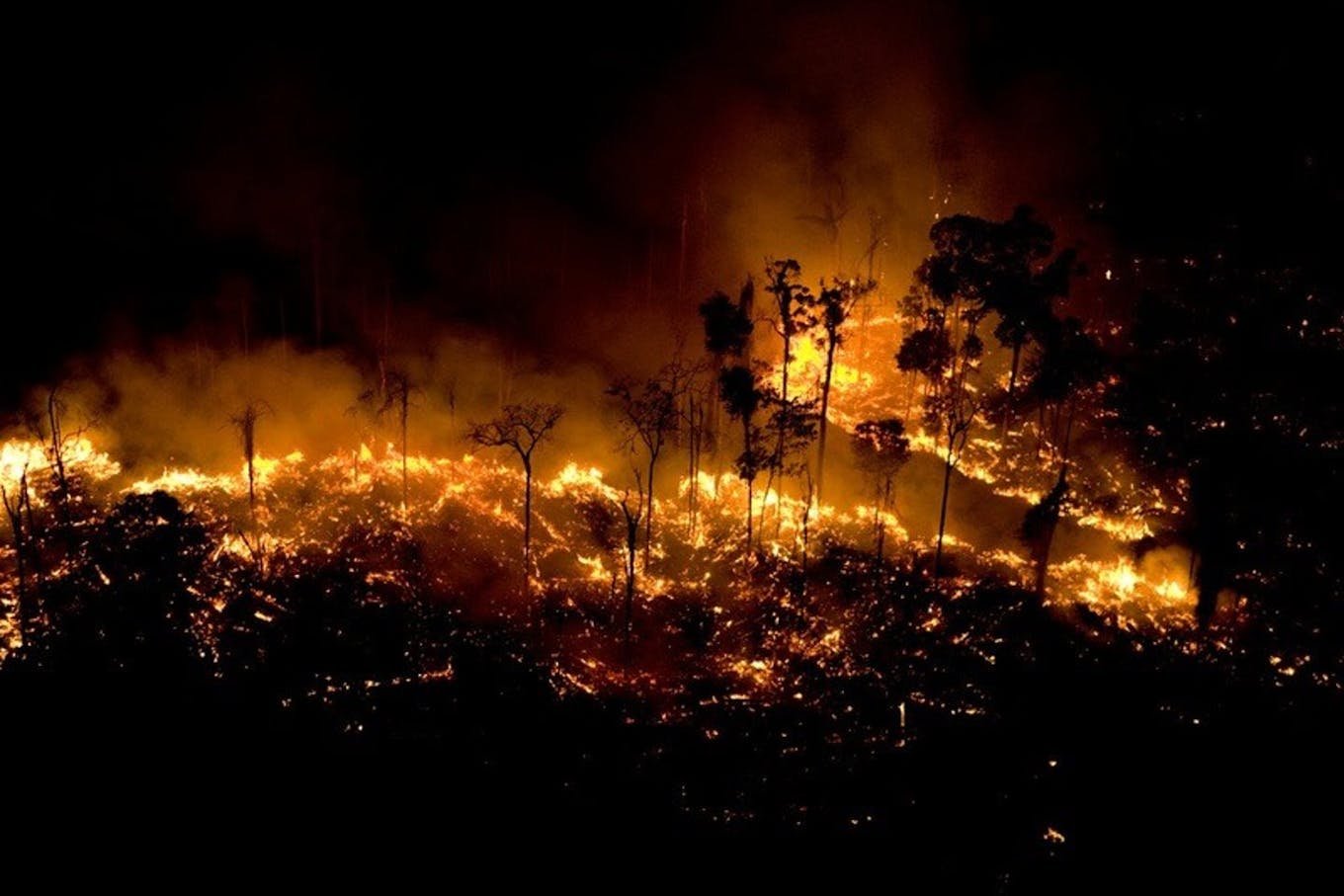 forest fire burning amazon