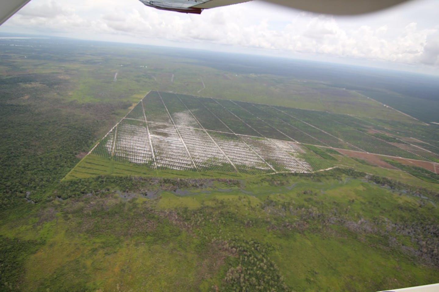 deforestation for palm oil on peatland in Central Kalimantan, Borneo, Indonesia