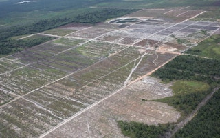 Deforestation for a palm oil plantation in Central Kalimantan, Indonesia