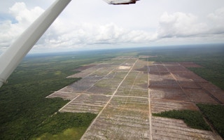 Aerial view of deforestation on peatland for palm oil plantation Indonesia