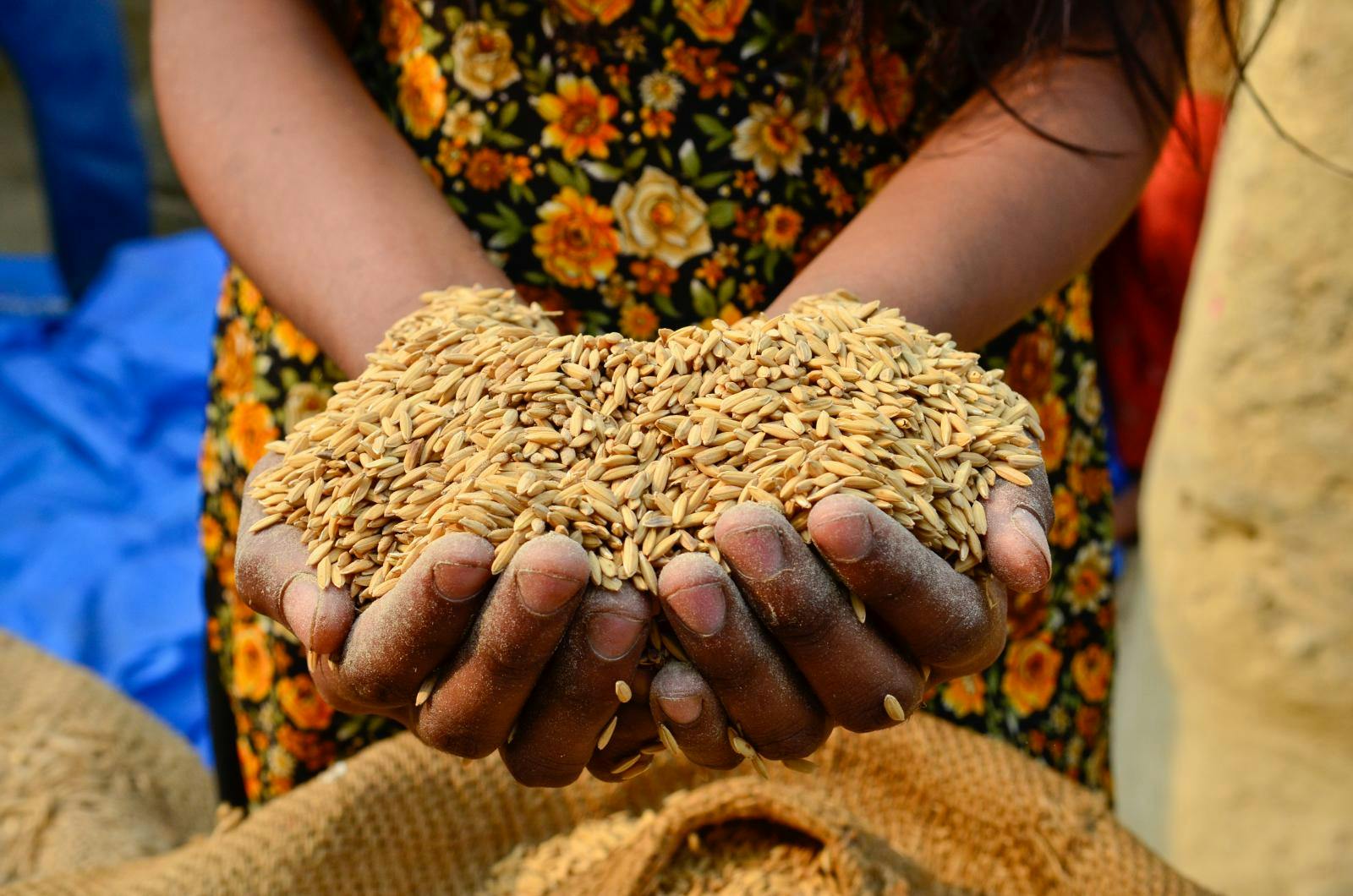 Nepal’s traditional grain bins help keep food safe from heat, floods