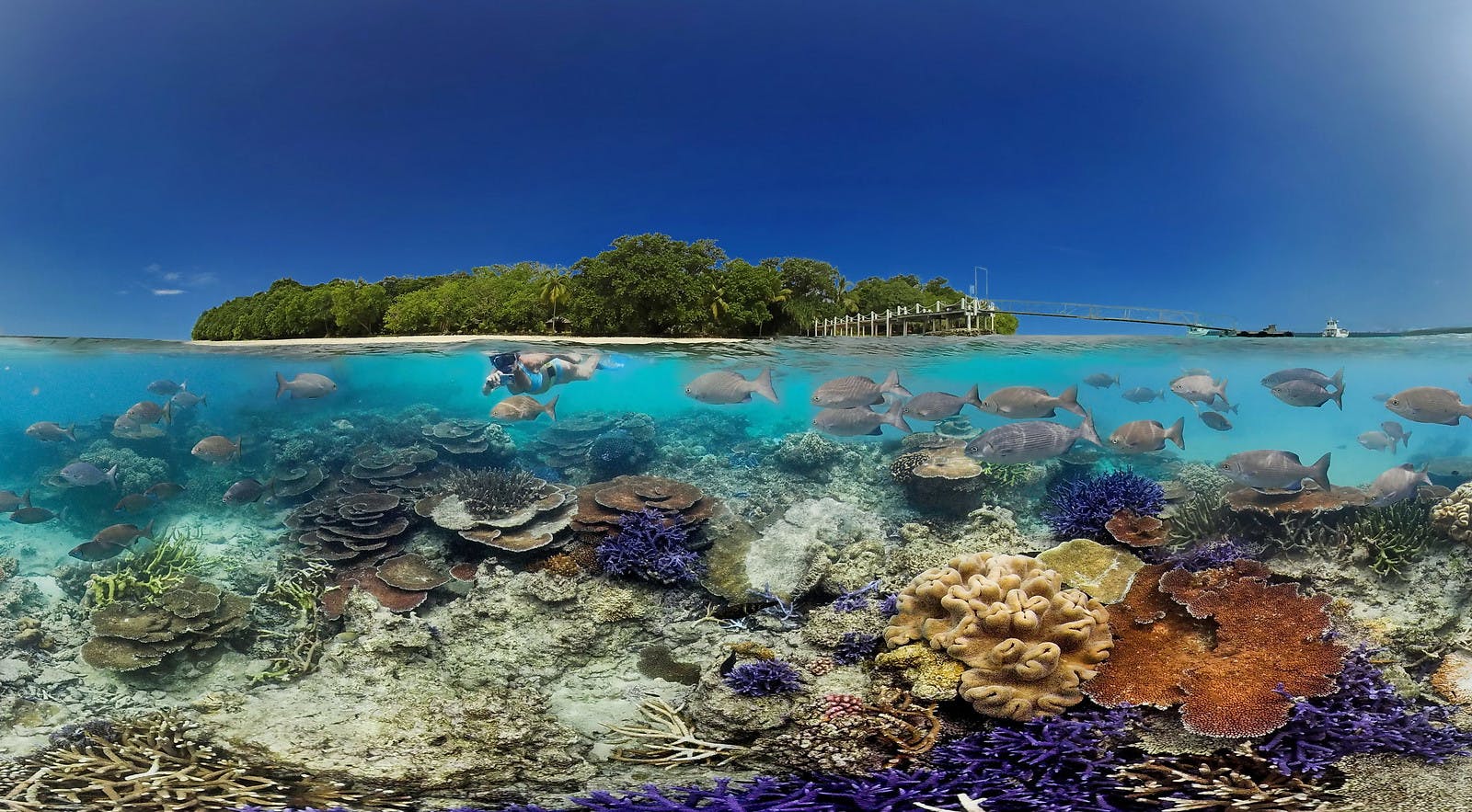 Small_Island_Nations_Marine_Vanuatu