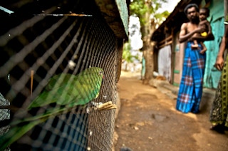 Sri Lankan refugee camp in India