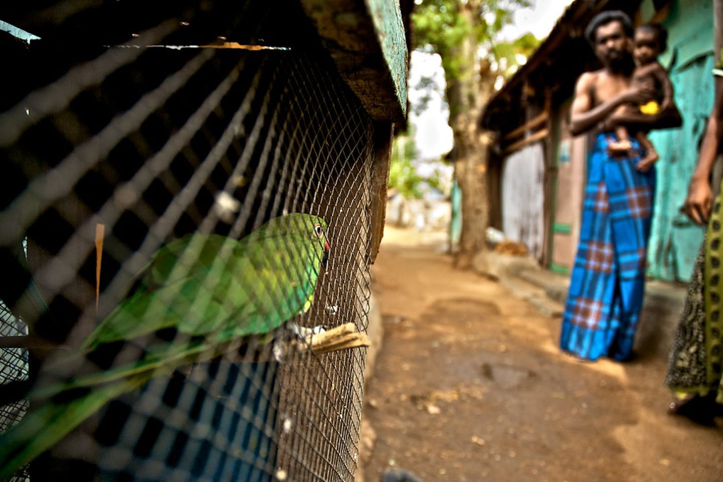 Sri Lankan refugee camp in India