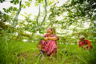Women_Forests_Nepal