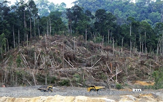 Deforestation in Borneo Indomet