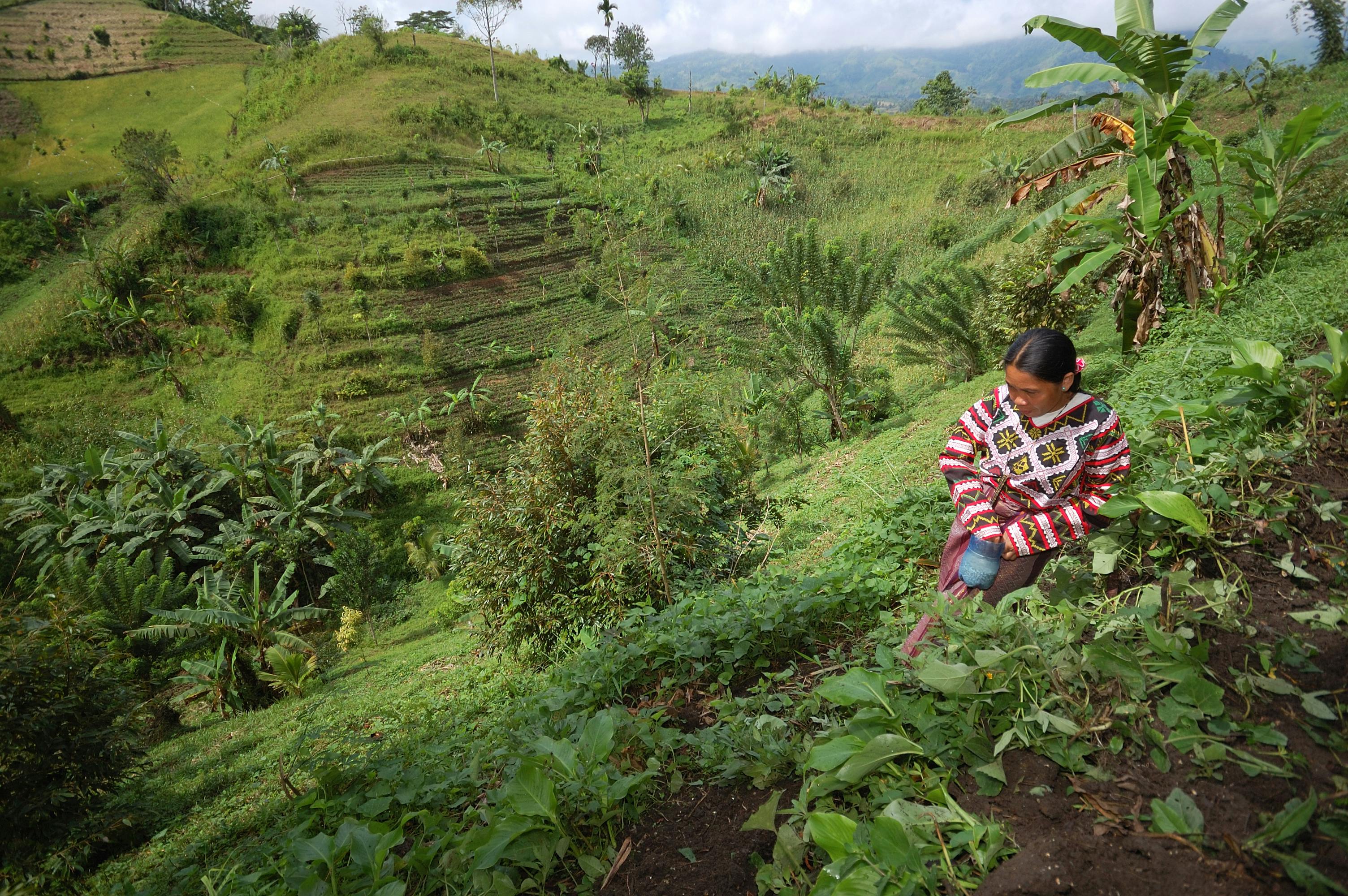 Upland farming near Lake Sebu, Philippines