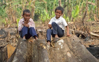 Deforestation_Stump_Cambodia