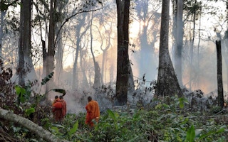 Buddhist monks in Angkor Wat Cambodia forest