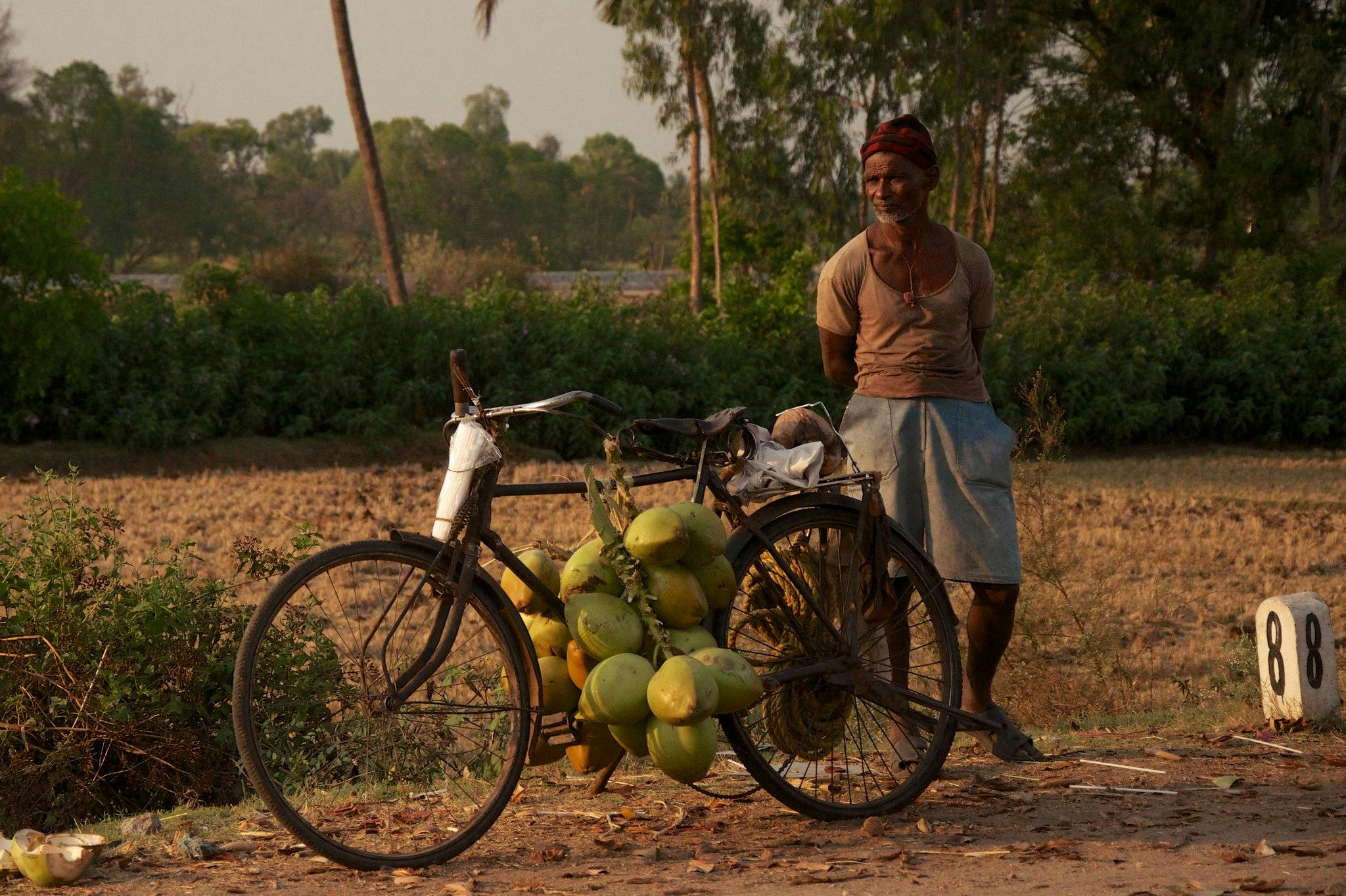 Coconut_Farmer_Revitalisation