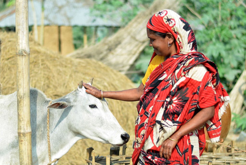 woman farmer in bangladesh