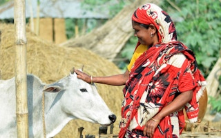 woman farmer in bangladesh