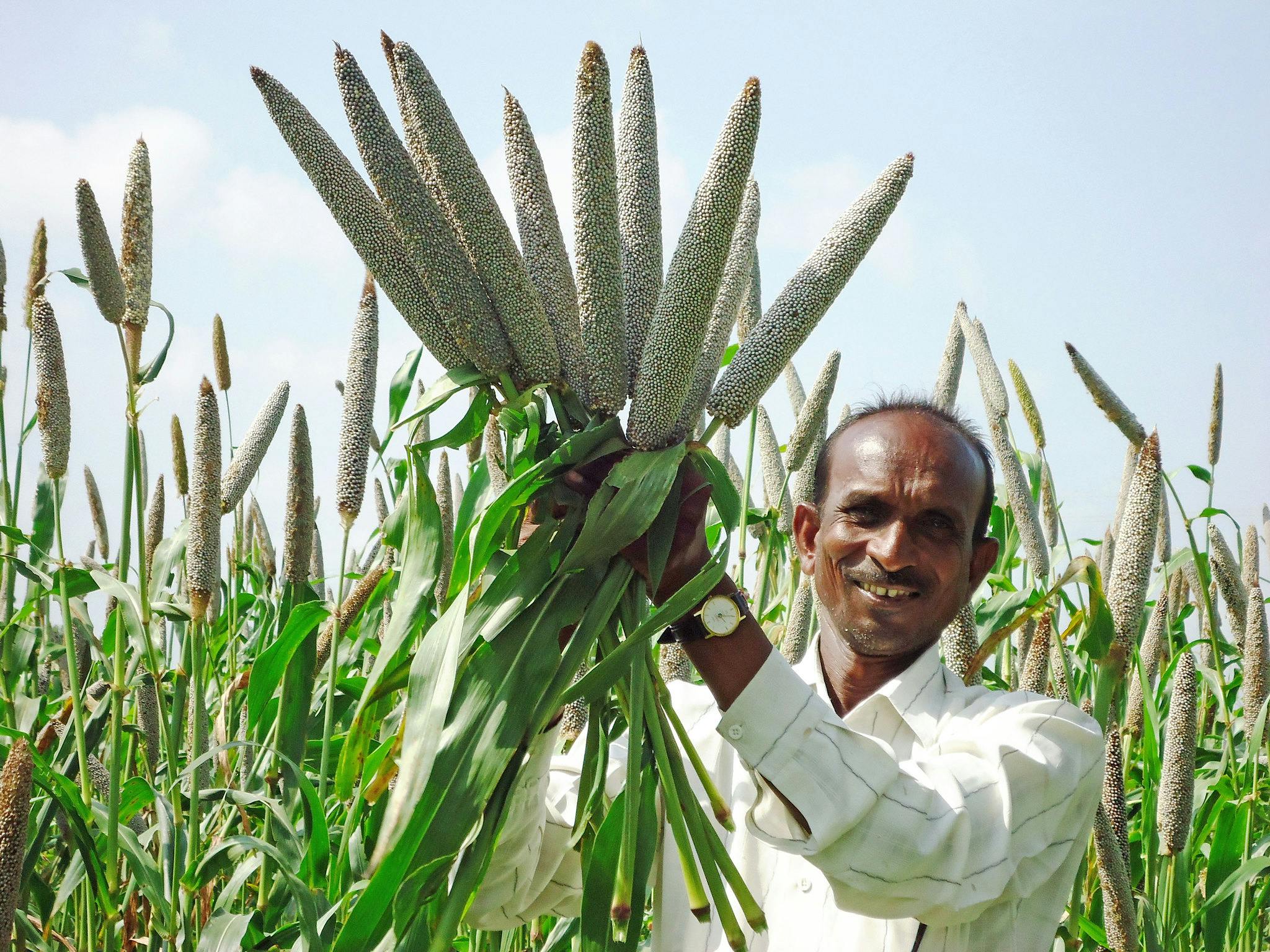 Millet_Production_India