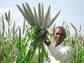 Millet_Production_India