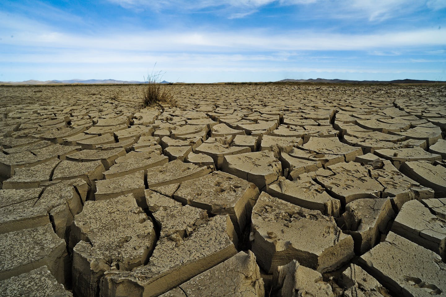 Climate change-induced drought in Mongolia