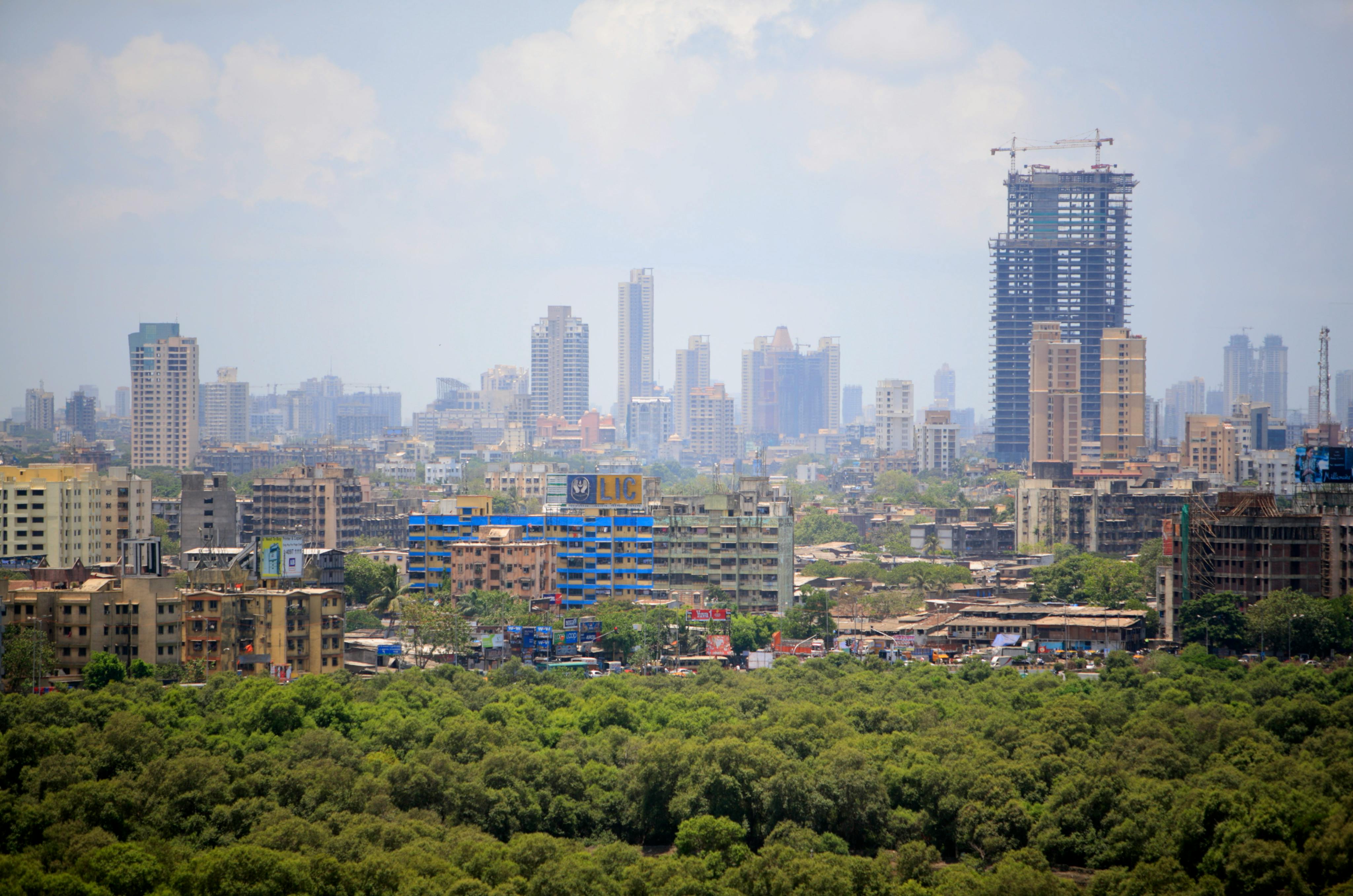 Mangrove_Mumbai_India