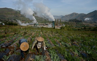 potato farm near geothermal plant indonesia