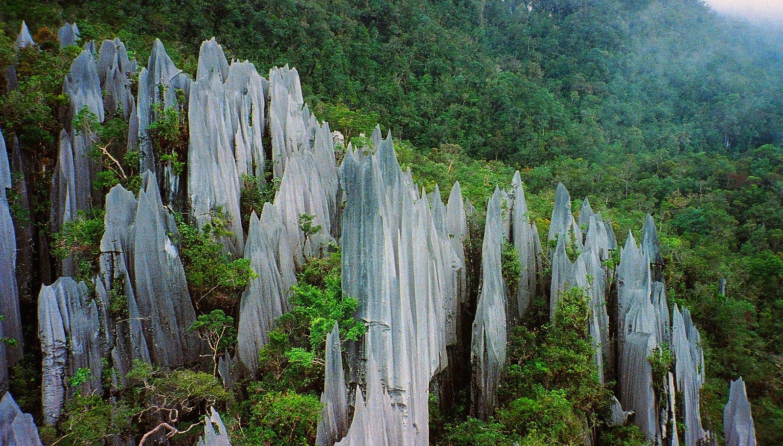 Gunung_Mulu_National_Park_Malaysia