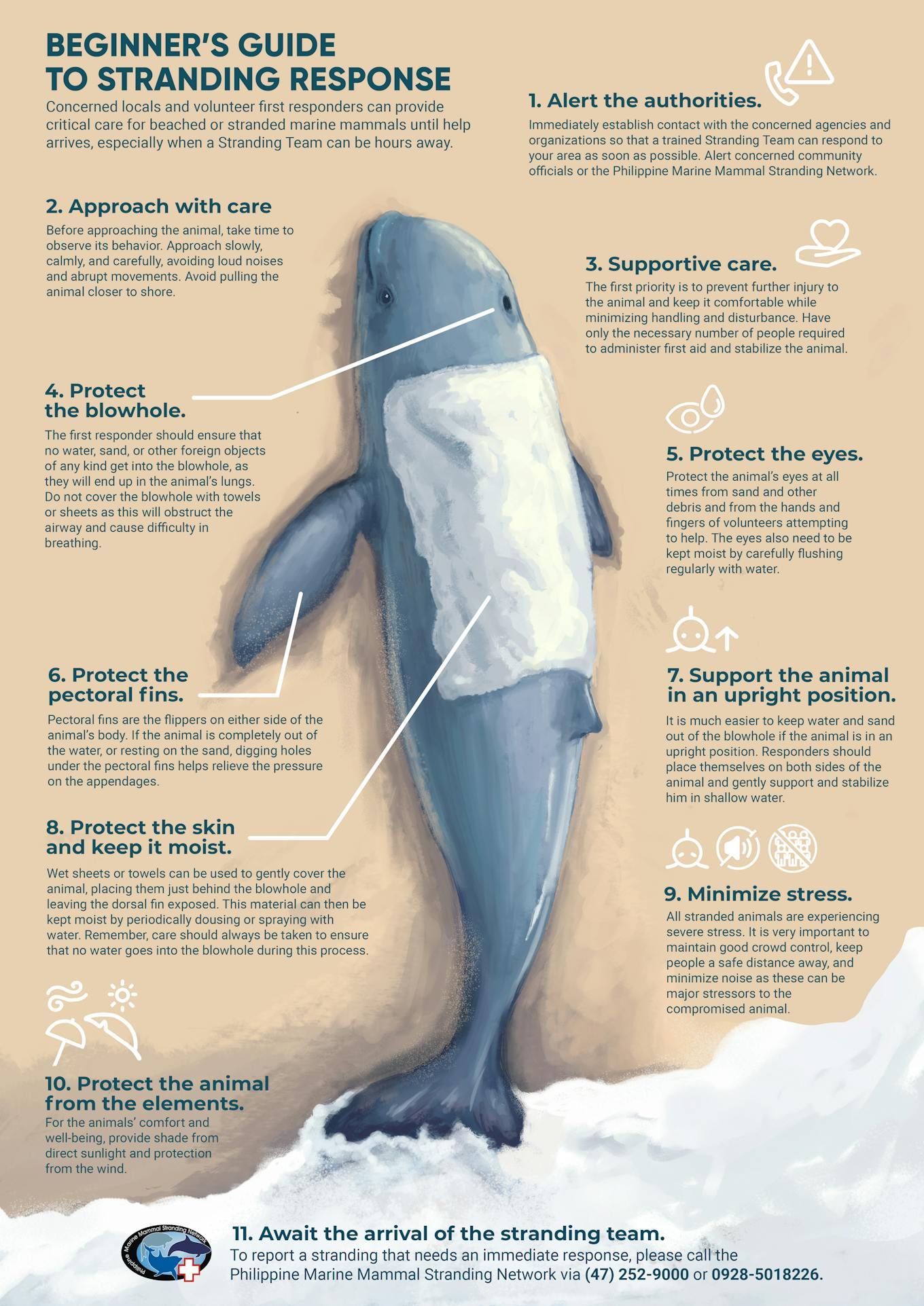 Irrawaddy Dolphin_Infographics2