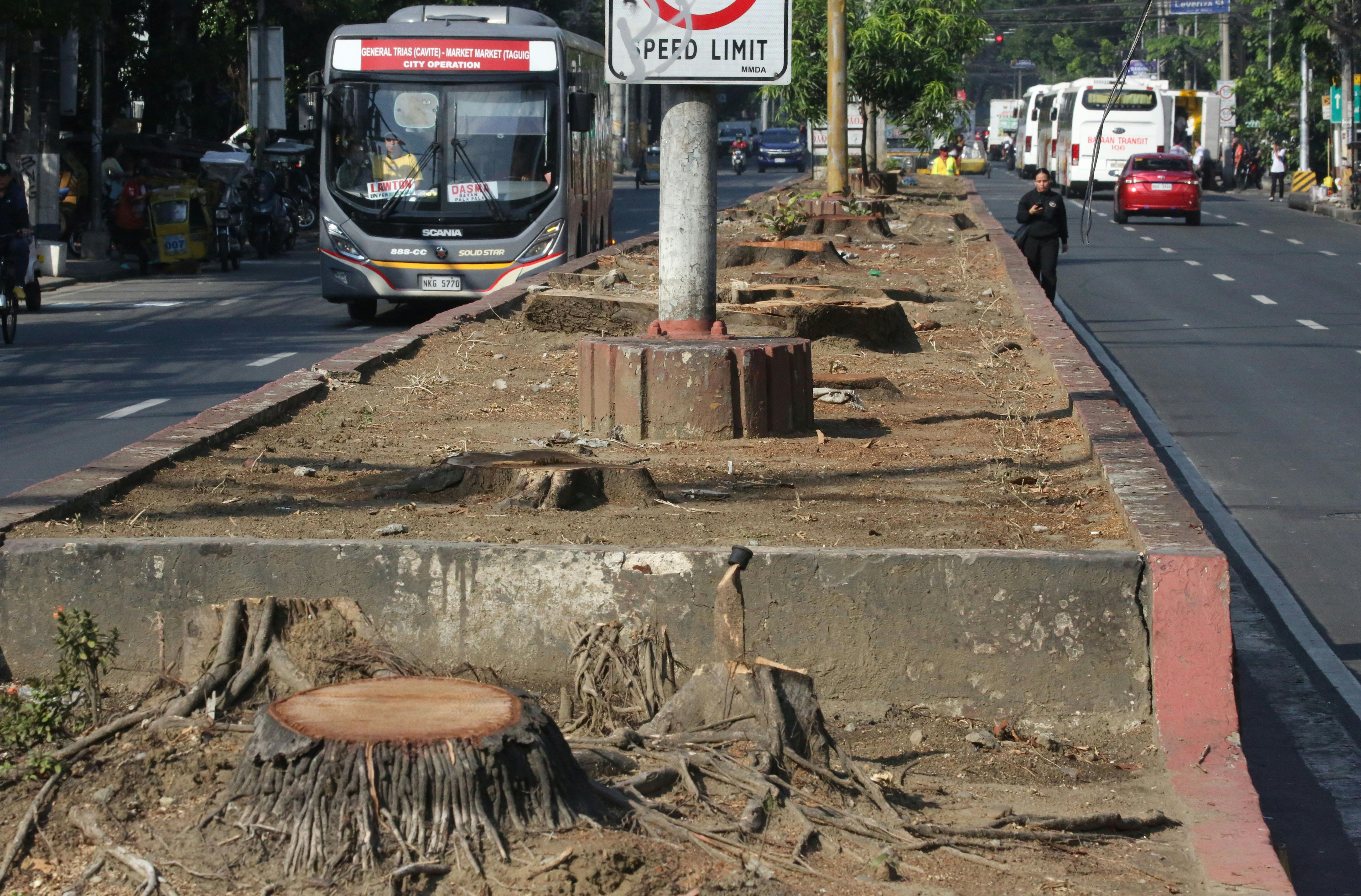Tree cutting Quirino Highway