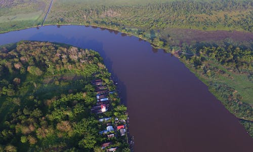 It’s official: Peat swamp carbon credits project in Central Kalimantan advances all 17 Sustainable Development Goals