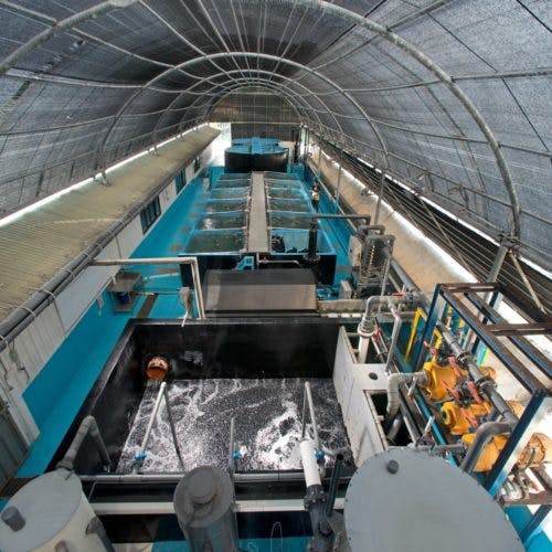 13377 Apollo Aquaculture