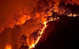 Bandipur wildfire India