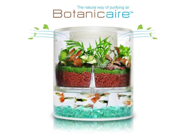 Botanicaire