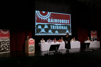 rainforest tribunal