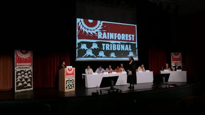 rainforest tribunal